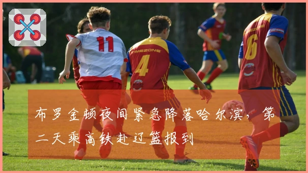 布罗金顿夜间紧急降落哈尔滨，第二天乘高铁赴辽篮报到