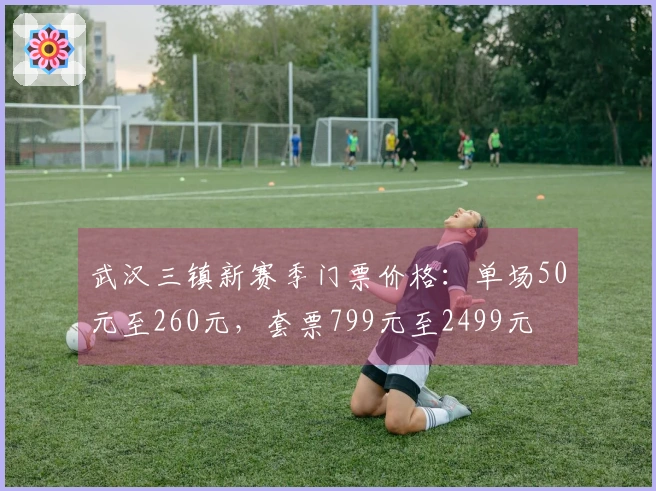 武汉三镇新赛季门票价格：单场50元至260元，套票799元至2499元